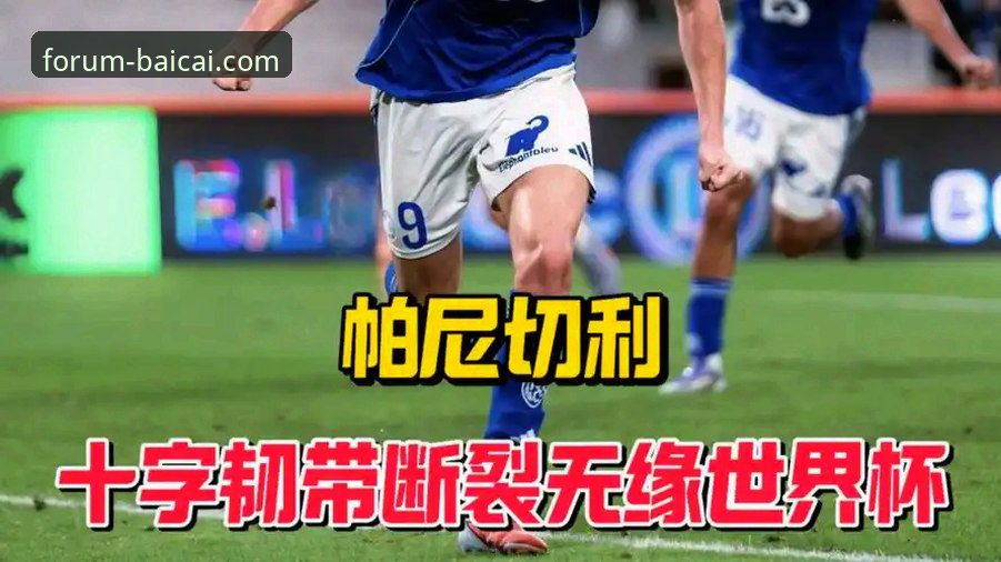 冠军白菜网棋牌游戏 帕尼切利伤退世界杯:一次关于“战术变量”缺失的深度评测