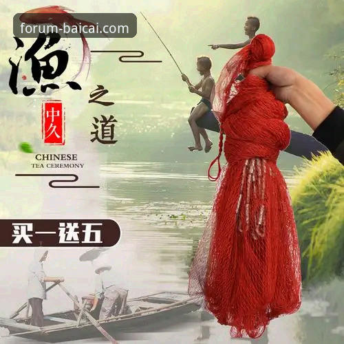 揭秘冠军白菜网是正规平台吗手机版？老用户亲身经历告诉你真相